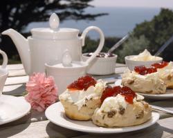 Cream Teas In The Church (With Plant Sale) - Westbury